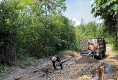 Kolaborasi Anggaran CSR, Pemkab Muba Perbaiki Jalan Antar Desa di Kecamatan Barang Hari Leko