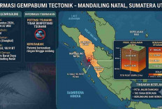 Gempa Magnitudo 4,5 Guncang Mandailing Natal, BMKG: Tak Berpotensi Tsunami