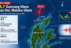 Gempa Magnitudo 4,7 Guncang Pulau Doi Pagi Ini, Cek Kedalaman dan Episentrumnya