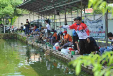 Jangan Salah Umpan! Ini Cara Ampuh Mancing Patin di Kolam Biar Strike Terus