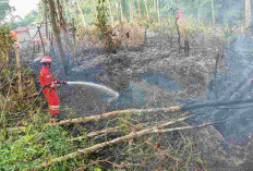 Respon Cepat! PHR Zona 4 Padamkan Lebih dari 100 Titik Api Karhutla Sumsel