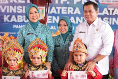 Feby Herman Deru Resmikan 'Rumah Besar' PKK Banyuasin dan Bagi-Bagi Bantuan Khusus