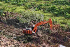 Clearing Area TPA Tungkal Jaya, HKI Buktikan Komitmen Lingkungan!