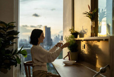 9 Rahasia Tanaman Indoor Tetap Subur Meski Minim Cahaya Matahari
