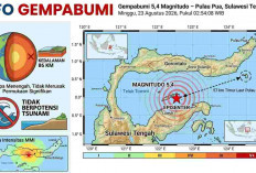 Gempa Magnitudo 5,4 Guncang Pulau Pua Sulteng Dini Hari, Disusul Getaran Beruntun di NTT