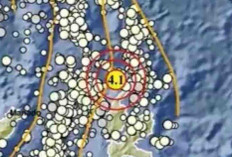 Gempa Magnitudo 4,1 Guncang Daruba Maluku Utara, Tak Berpotensi Tsunami