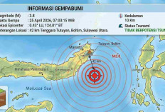 Gempa Guncang Sejumlah Wilayah Indonesia Pagi Ini, Terbesar M 3,8 di Tutuyan