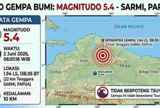 Gempa Beruntun Guncang Papua Pagi Ini, Sarmi Digoyang Gempa Terkuat M 5,4