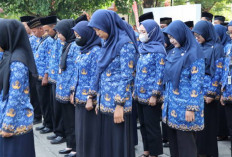 Ini 7 Daerah yang Pecat Honorer Mulai Januari 2026