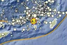 Gempa Magnitudo 4,3 Guncang Maluku Tenggara Barat Pagi Ini, Tak Berpotensi Tsunami