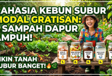 Rahasia Kebun Subur Modal Gratisan! Ini 5 Sampah Dapur yang Bermanfaat untuk Tanaman