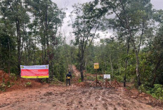 Amankan Aset Negara! Strategi PTBA Tutup Celah Tambang Ilegal di Banko Tengah