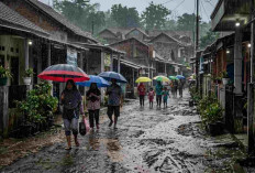 Prakiraan Cuaca Sumsel Hari Ini: Mayoritas Hujan Ringan, OKU Timur dan Pagar Alam Waspada Petir