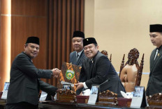 Warning Keras Wagub Cik Ujang: Banyak Perusahaan Sawit di Sumsel Caplok Kawasan Hutan Tanpa Izin