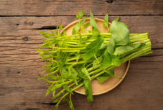 10 Manfaat Kangkung untuk Kesehatan Tubuh, Nomor 2 Meningkatkan Kesehatan Mata