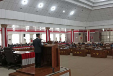 Dicecar Kritik dan Saran Terkait APBD 2025, Wabup Ardani Langsung Beri Jawaban Tegas di Depan DPRD Ogan Ilir
