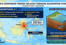 Gempa Magnitudo 4,1 Guncang Tarakan Kaltara Pagi Ini, BMKG: Tak Berpotensi Tsunami
