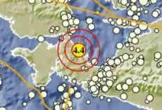 Teluk Wondama Diguncang Gempa Magnitudo 4,4 Pagi Ini, BMKG: Tak Berpotensi Tsunami
