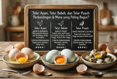 Mana yang Paling Sehat dan Bergizi? Kupas Tuntas Perbandingan Lengkap Telur Ayam, Telur Bebek, dan Telur Puyuh