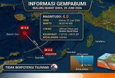 Gempa Magnitudo 4,0 Guncang Maluku Barat Daya Pagi Ini, Cek Lokasi Episentrum dan Kedalamannya