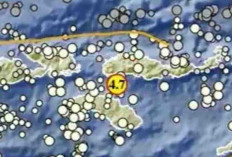 Rentetan Gempa Terjadi Pagi Hari! Borong NTT Diguncang M4,7, Pacitan Berkali-kali Bergetar