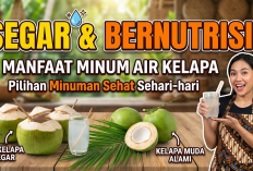 Bikin Segar Sekaligus Punya Banyak Nutrisi, 8 Manfaat Minum Air Kelapa yang Bisa Jadi Pilihan Minuman Sehat