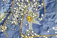 Gempa Magnitudo 4,5 Guncang Sofifi pada Kedalaman 9 Km, Tak Berpotensi Tsunami