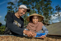 Dari Kas Masjid ke Bank Terbesar: Kisah Awal BRI yang Kini Berusia 130 Tahun