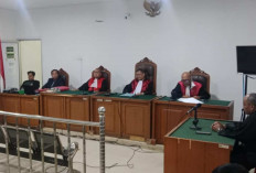 Satu Hakim Dissenting Opinion, Sopir Truk Batubara Lepas dari Segala Tuntutan Hukum