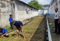 Lapas Sekayu Rawat Tanaman Kangkung untuk Perkuat Ketahanan Pangan