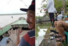 Rahasia Umpan Galatama Lele Paling Ganas! Sekali Lempar, Langsung Disambar