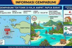Gempa Magnitudo 4,3 Guncang Raja Ampat Pagi Ini, BMKG: Tak Berpotensi Tsunami