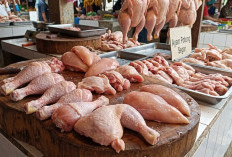 Mulai dari Bentuk Tubuh Ideal hingga Tulang Kuat, Ini Alasan Kenapa Wajib Rutin Konsumsi Daging Ayam