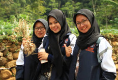 Tidak Semua! Ini 3 Kategori Pegawai SPPG yang Diangkat PPPK