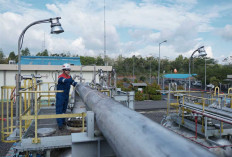 Produksi Minyak Naik 6,6 Persen, Pertamina EP Zona 4 Sukses Tekan Biaya Operasional di Tahun 2025