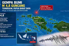 Gempa M 4,8 Guncang Papua Barat Daya Minggu Dini Hari, Cek Data Lengkap BMKG
