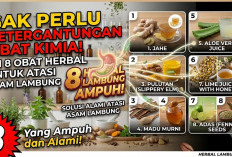 Gak Perlu Ketergantungan Obat Kimia! Ini 8 Obat Herbal untuk Atasi Asam Lambung yang Ampuh dan Alami
