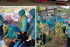 Bukan Kaleng-Kaleng: Desa Banjarsari Sukses Pukau Tim Evaluasi TP PKK Provinsi Sumsel di Kabupaten Lahat