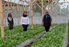 Onih Suryati Sulap Limbah Jadi Usaha, Bukti Sinergi Ultra Mikro BRI Berdayakan Perempuan