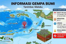 Gempa Magnitudo 4,1 Guncang Tanimbar Maluku Minggu Pagi, Ini Lokasi Episentrumnya