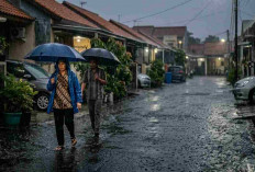 8 Daerah Sumsel Diprediksi Hujan Hari Ini, Palembang Masih Diselimuti Udara Kabur