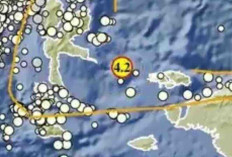 Gempa Magnitudo 4,2 Guncang Raja Ampat pada Kedalaman 10 Km, Tak Berpotensi Tsunami