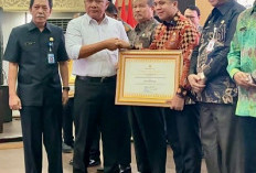 Layanan PELUK JAUH Bawa Disdukcapil Muba Raih Top 3 Inovator Pelayanan Publik