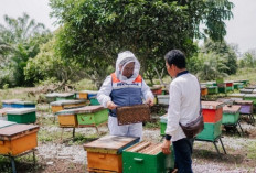 SUKSES BESAR! PHR Zona 1 Raih Dua Penghargaan Paling Bergengsi di Tingkat Internasional