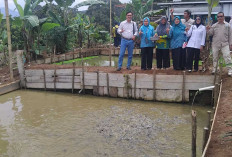 Tepat Sasaran! Begini Cara Pemdes Lesung Batu Ubah Kawasan 'Cuko Simpou' Jadi Sentral Pangan