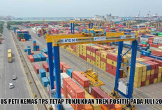 Arus Peti Kemas TPS Juli 2026 Tumbuh 11,79 Persen, Ekspor Melonjak 20,54 Persen
