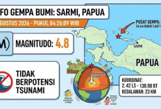 Gempa Magnitudo 4,8 Guncang Sarmi Papua Pagi Ini, BMKG Pastikan Tak Berpotensi Tsunami