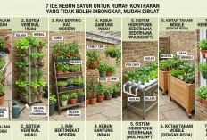 Tidak Punya Lahan dan Tak Boleh Rusak Dinding: 7 Ide Kreatif Bikin Kebun Sayur di Rumah Kontrakan