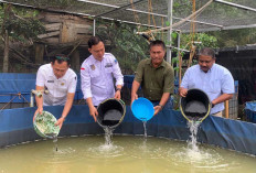 Tingkatkan Ekonomi Desa, Warga Tanjung Baru Lahat Sulap Bantuan 5000 Bibit Lele Jadi Bisnis Bioflok Produktif