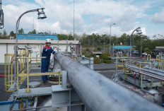 Produksi Migas Meningkat, Pertamina EP Zona 4 Jaga Kinerja Keuangan Tetap Solid
